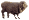 A Sheep